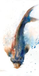 KOI fish - original watercolor painting KOI fish - original watercolor painting 678