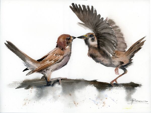 Morning Courtship - Original Watercolor Painting. Size: 11x15 inches. Price: 240$ Morning Courtship