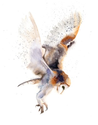 Flying owl - Original Watercolor Painting. SOLD Flying Owl