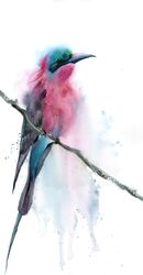 Bee Eater bird on the branch - Original Watercolor Painting Bee Eater bird on the branch - Original Watercolor Painting (674)