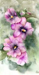 Hollyhock flowers - Original Watercolor Painting by PaintisPassion Size: 10.2 x 14.3 in Hollyhock flowers - Original Watercolor Painting 880