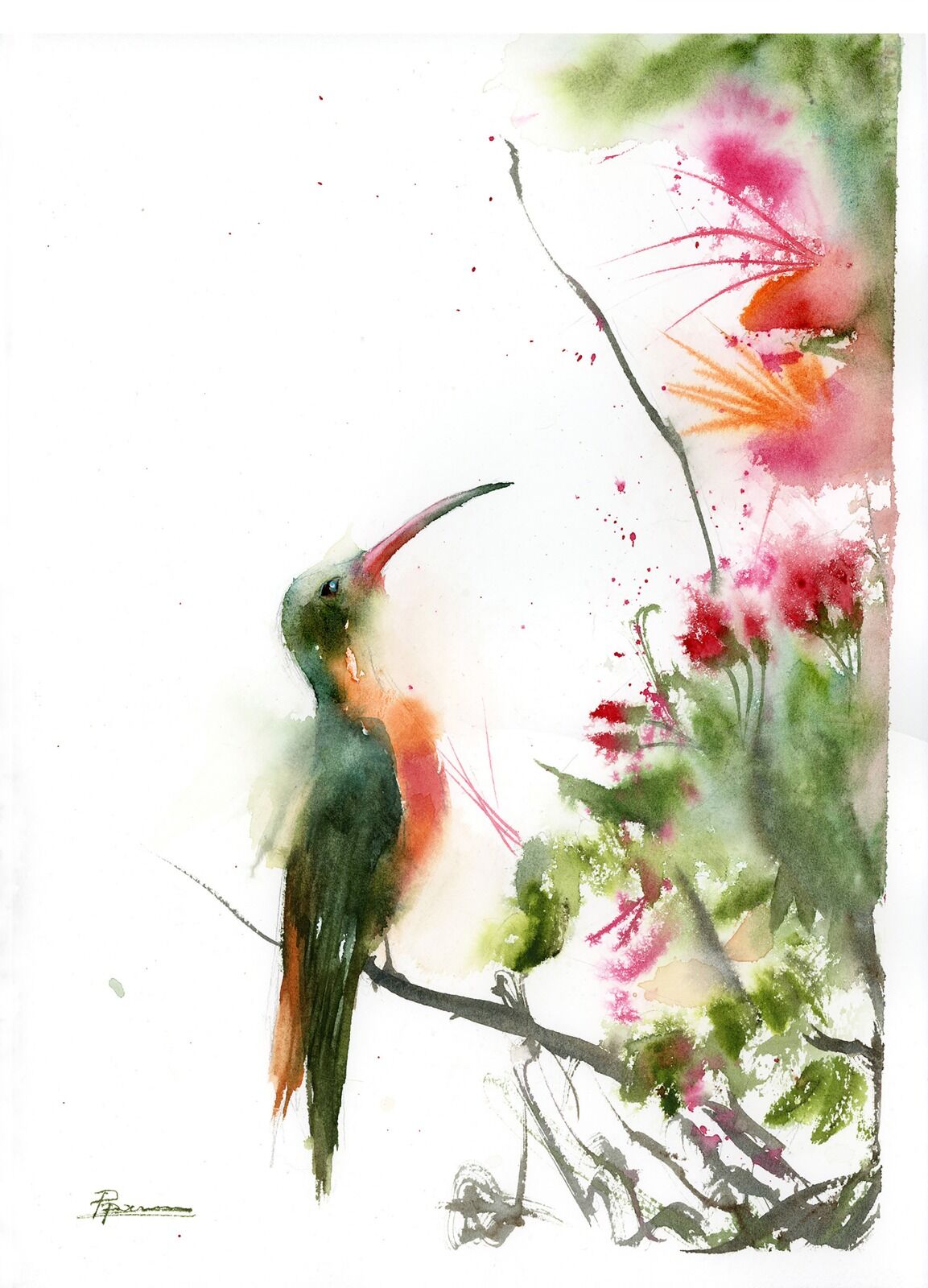 Hummingbird and plant