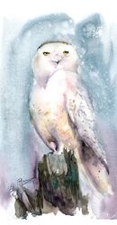 SNOWY OWL ON THE STUMP- original watercolor painting