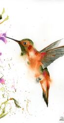 Hummingbird and flower