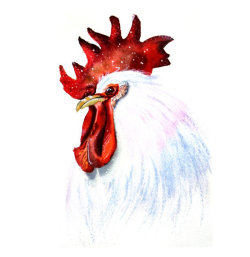 Rooster