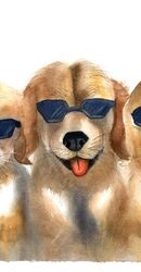 Dogs in Black glasses - Original Watercolor Painting by PaintisPassion; Size: 14.2 x 10.2 in Dogs in Black glasses - Original Watercolor Painting by PaintisPassion