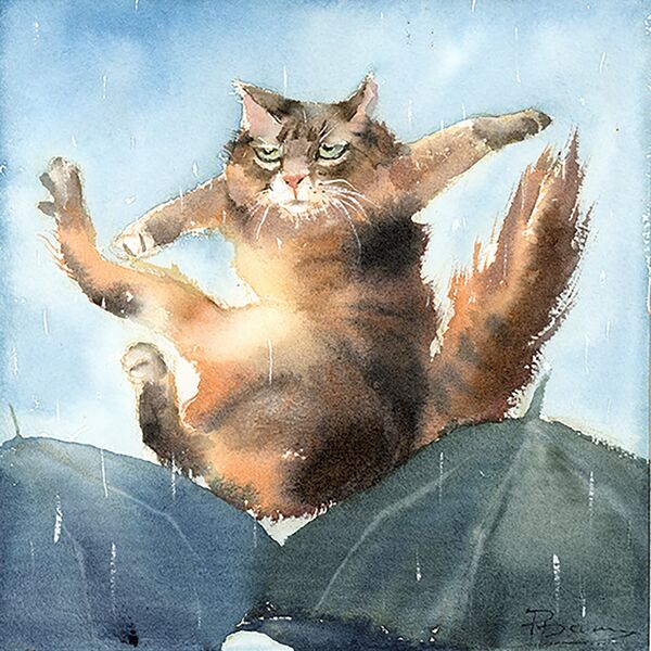 Falling Gracefully 1432