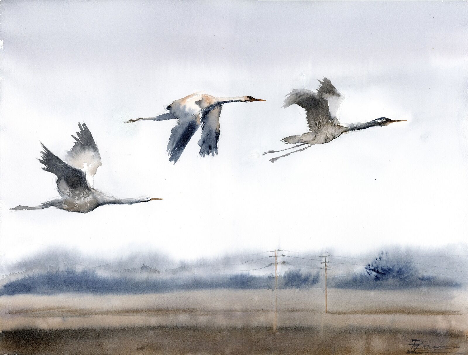 Flight of the Cranes 1384