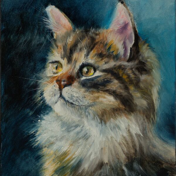 1506 Majestic Longhair Cat (2025) Oil Painting on Canvas