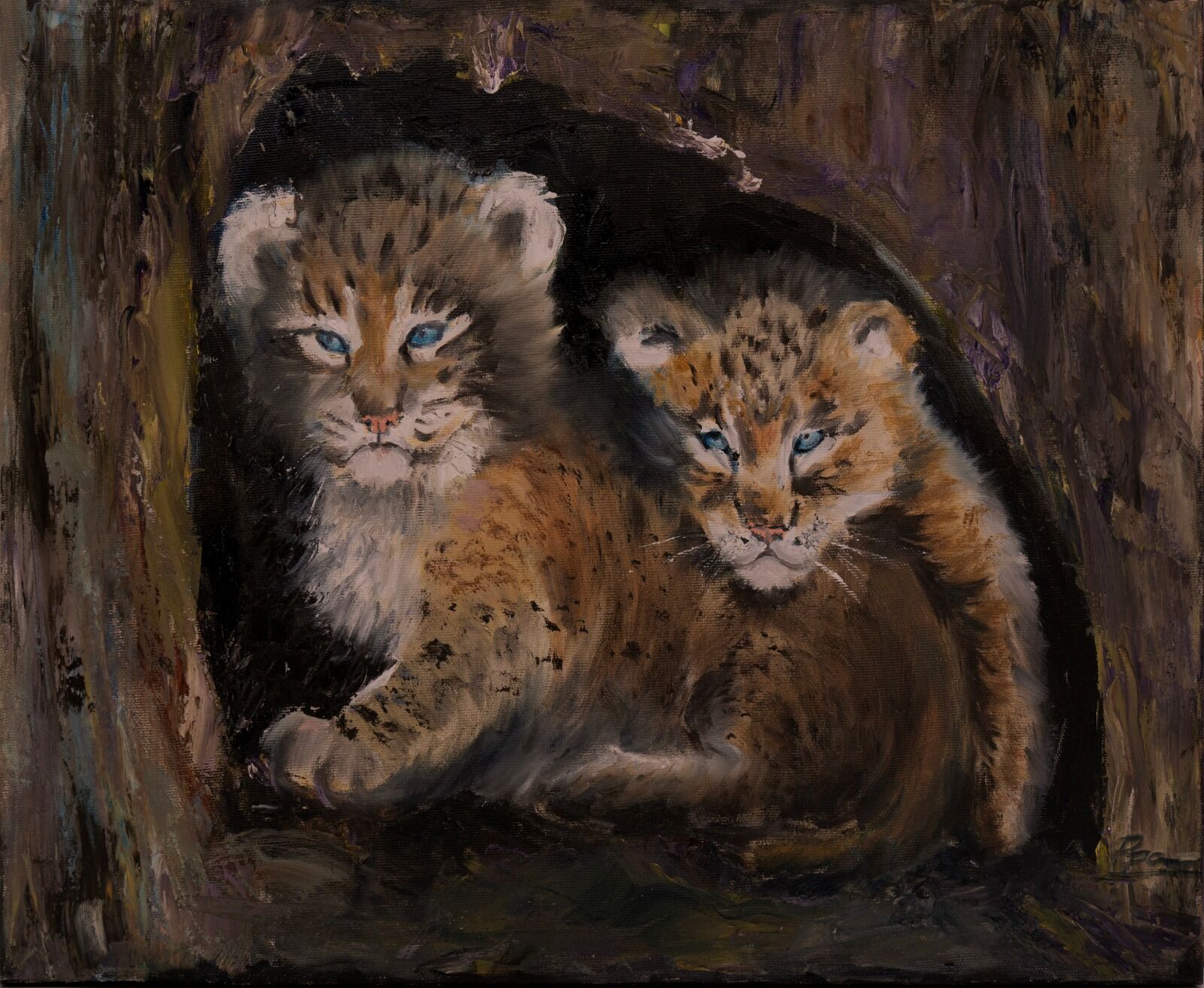 Lynx Cubs 1515