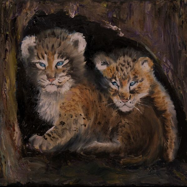 Lynx Cubs 1515