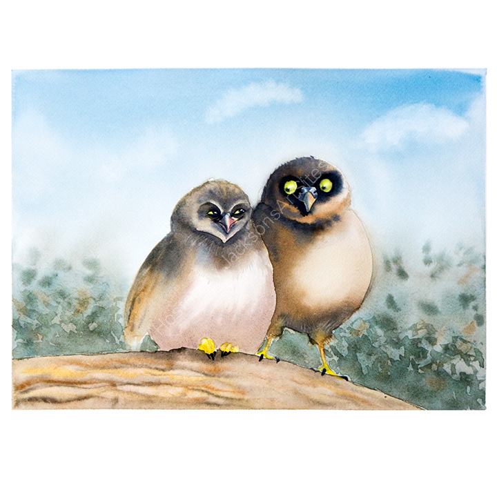 Two owls