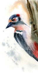 woodpecker-watercolor-by-PaintisPassion