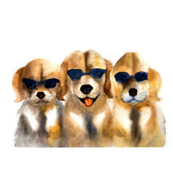 yellow dogs in black