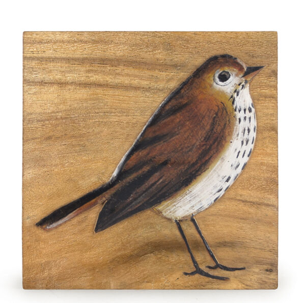 Mistle Thrush - flat wood painting