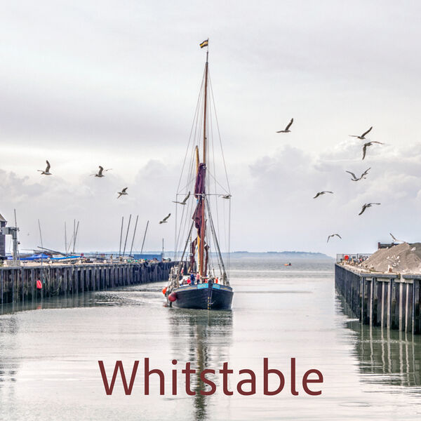 Whitstable & Greta and Gulls