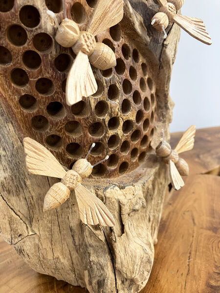 Bees and Bee Hive
