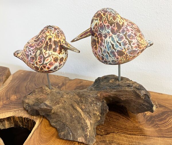 2  Birds on driftwood