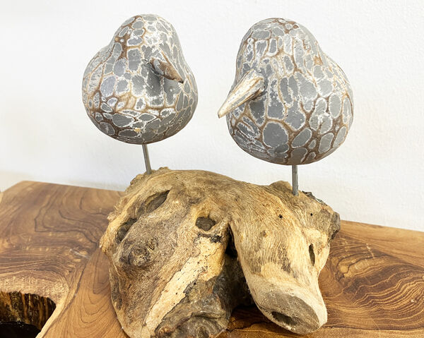 2 Birds on driftwood