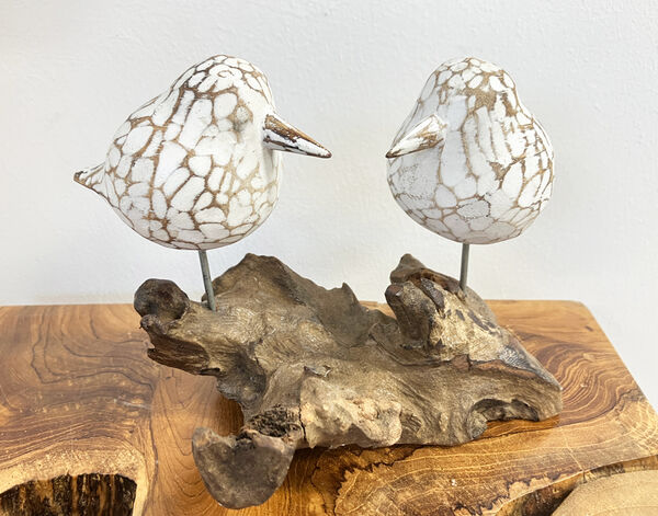 2 Birds on driftwood
