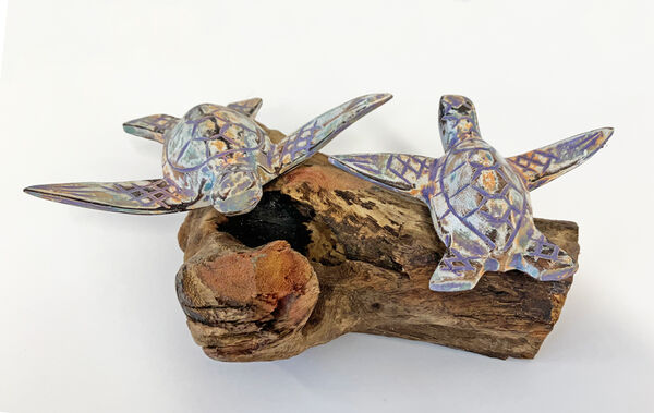 A pair of Turtles on driftwood.