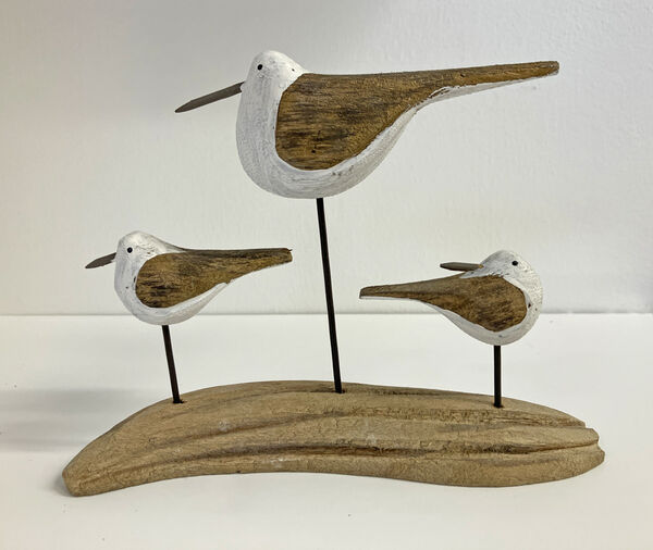 Three Birds on driftwood