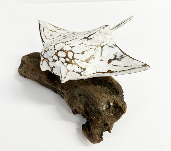 Carved Stingray on driftwood - White