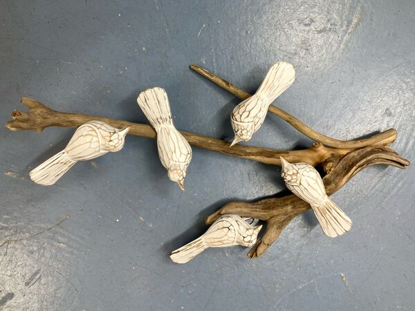 Birds on a branch
