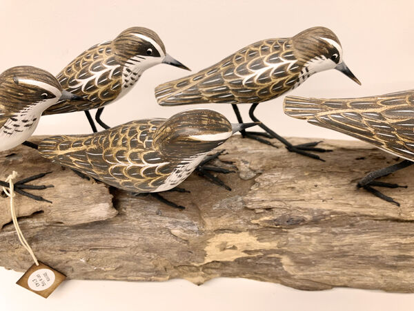 Stints on a log