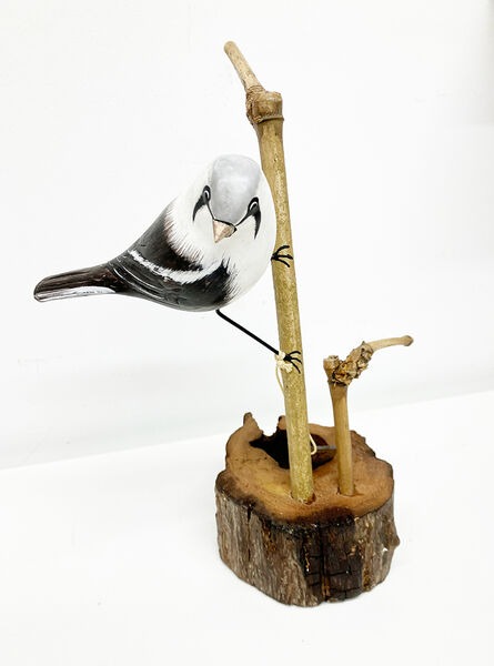 A Bearded Tit on a branch