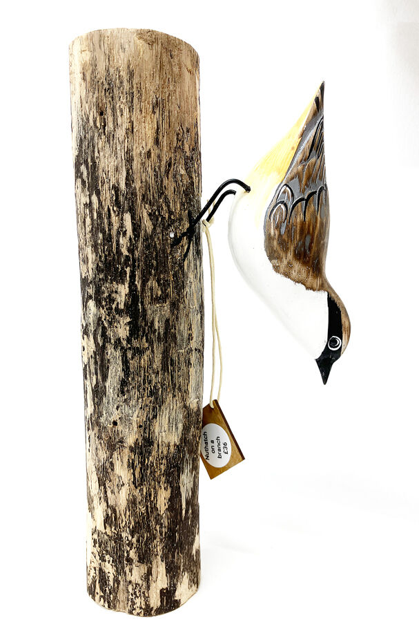 A Nuthatch on a branch