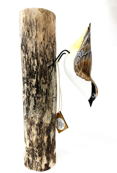 A Nuthatch on a branch