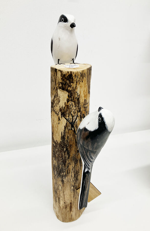 A pair of long Tailed Tits on a log.