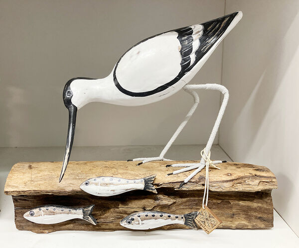 An Avocet fishing, with 3 fish.