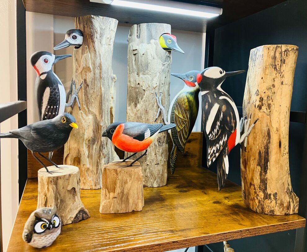 Woodpeckers & Woodland Birds