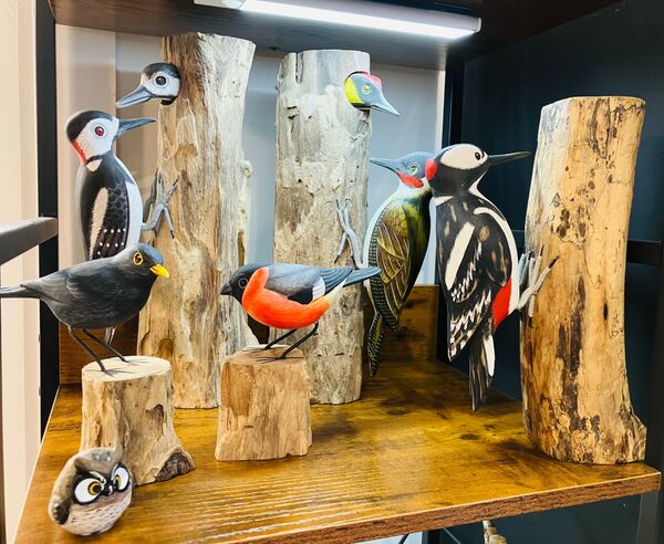 Woodpeckers & Woodland Birds