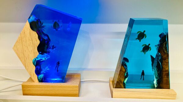 Resin & LED powered Night Lights