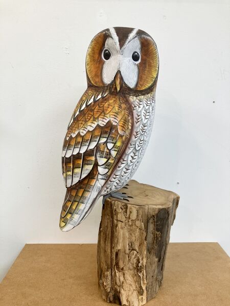 Tawny Owl