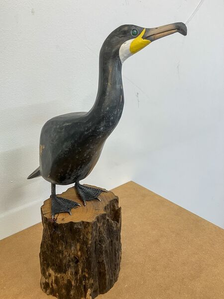 Cormorant