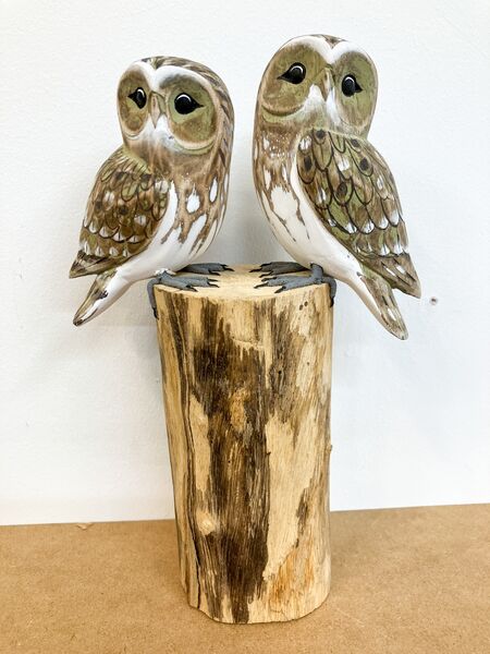 A pair of Little Owls.