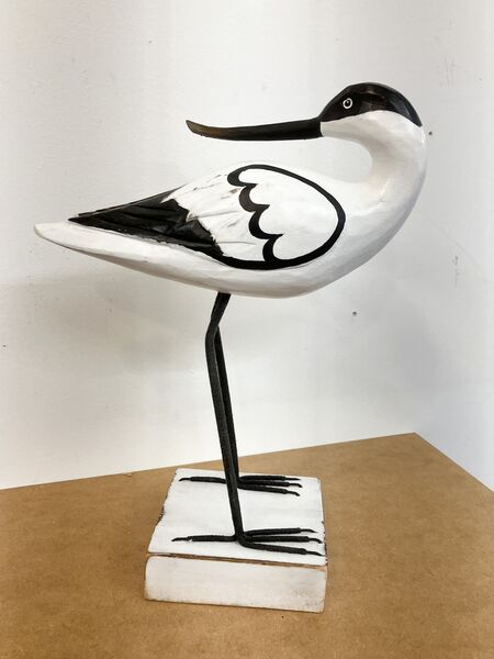 Avocet