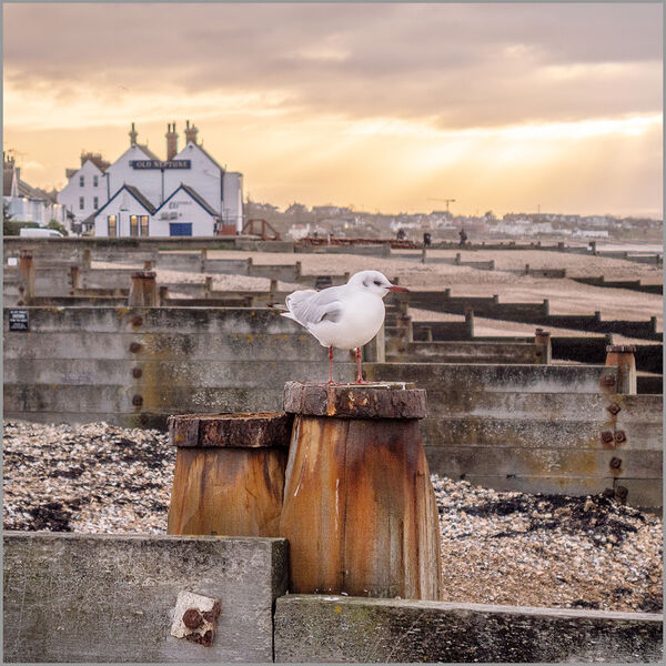 Whitstable Beach