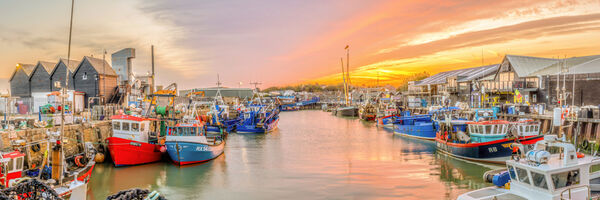 Sunrise Windy harbour, Whitstable 120 x 40 cm