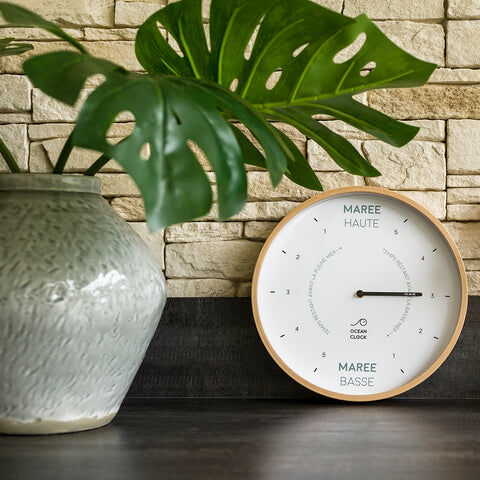 horloge maree Oyster moderne