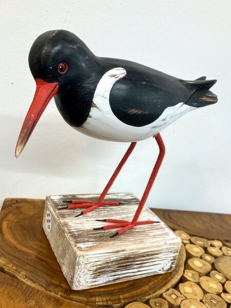 Oystercatcher