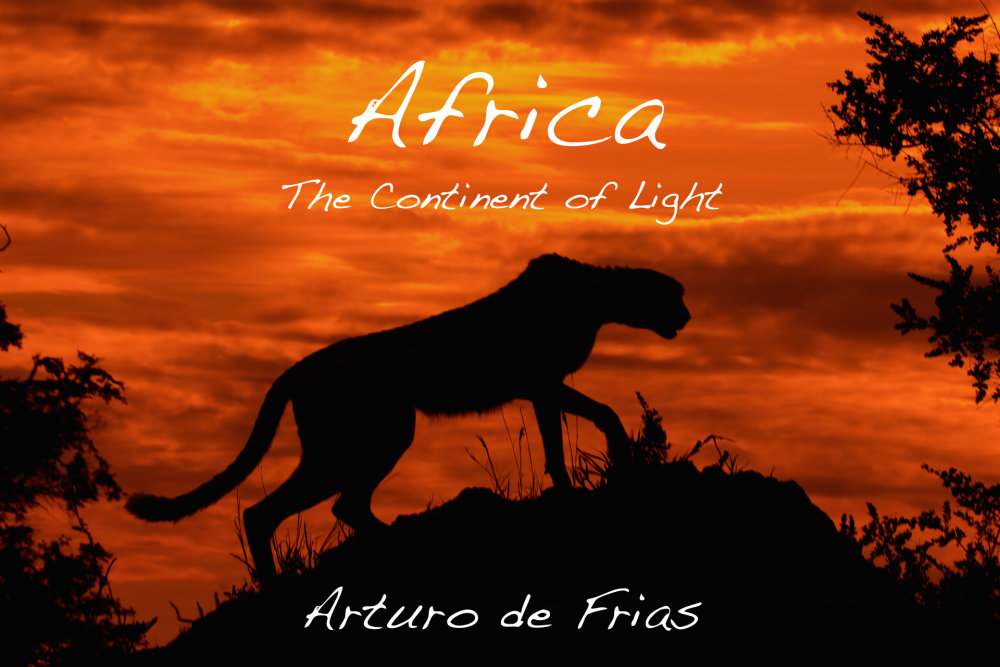 Book Cover - Africa