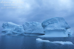 Blue Icebergs