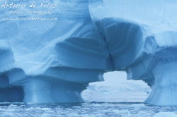 Blue Iceberg with Sculpted Tunnel
