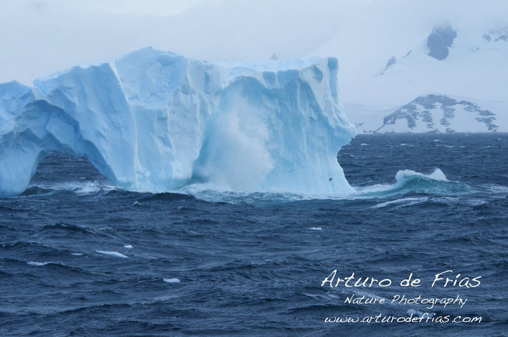 Iceberg Beaten by Waves