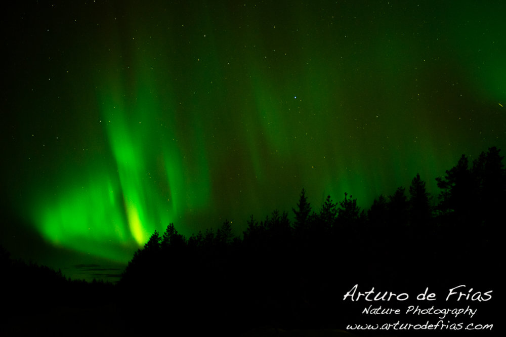 Aurora Borealis II